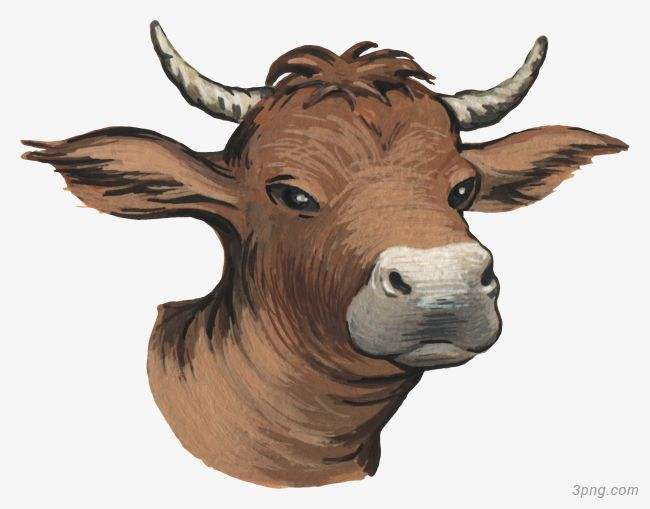 吉林市舒蘭市天德鄉(xiāng)反芻技術(shù)交流會圓滿成功！